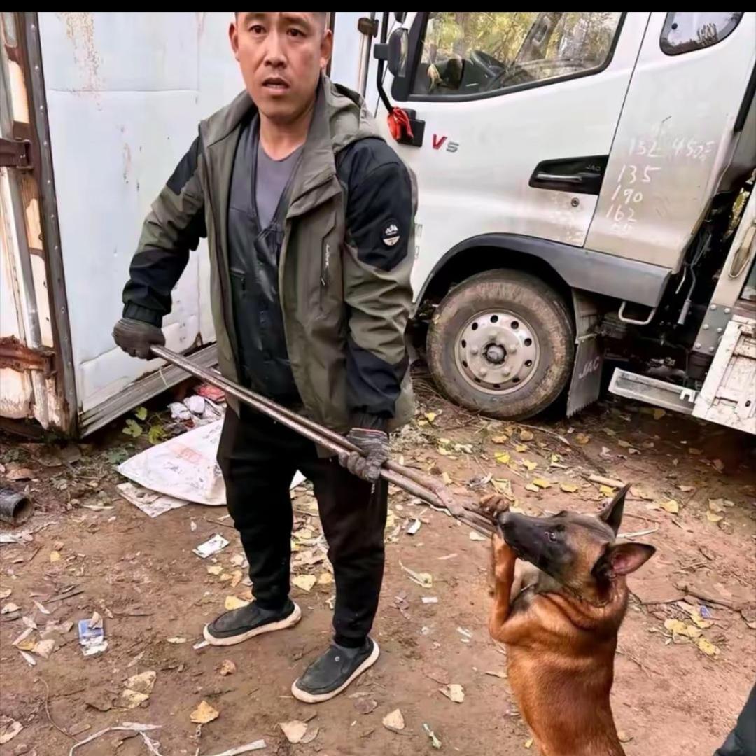 AAA袁师傅专业套狗