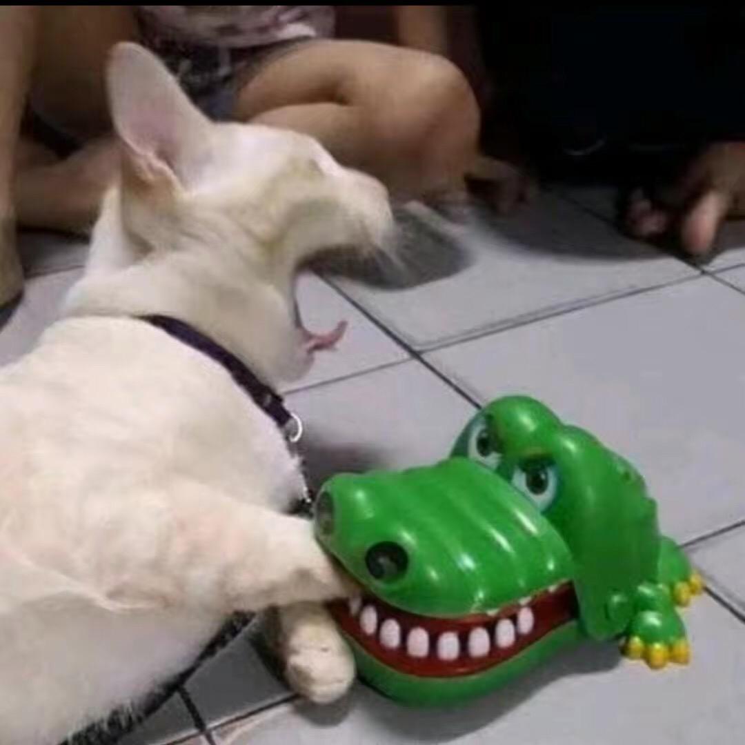 纪伯昌