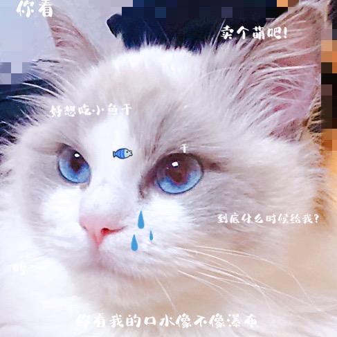 静谧@安头像