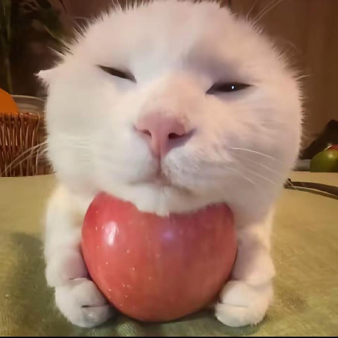 4.17