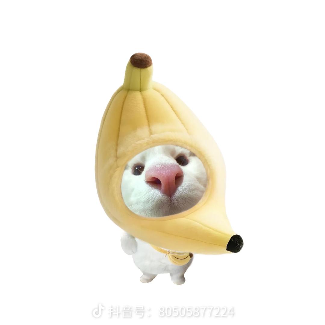 香蕉你个不拿拿🍌.🤫头像