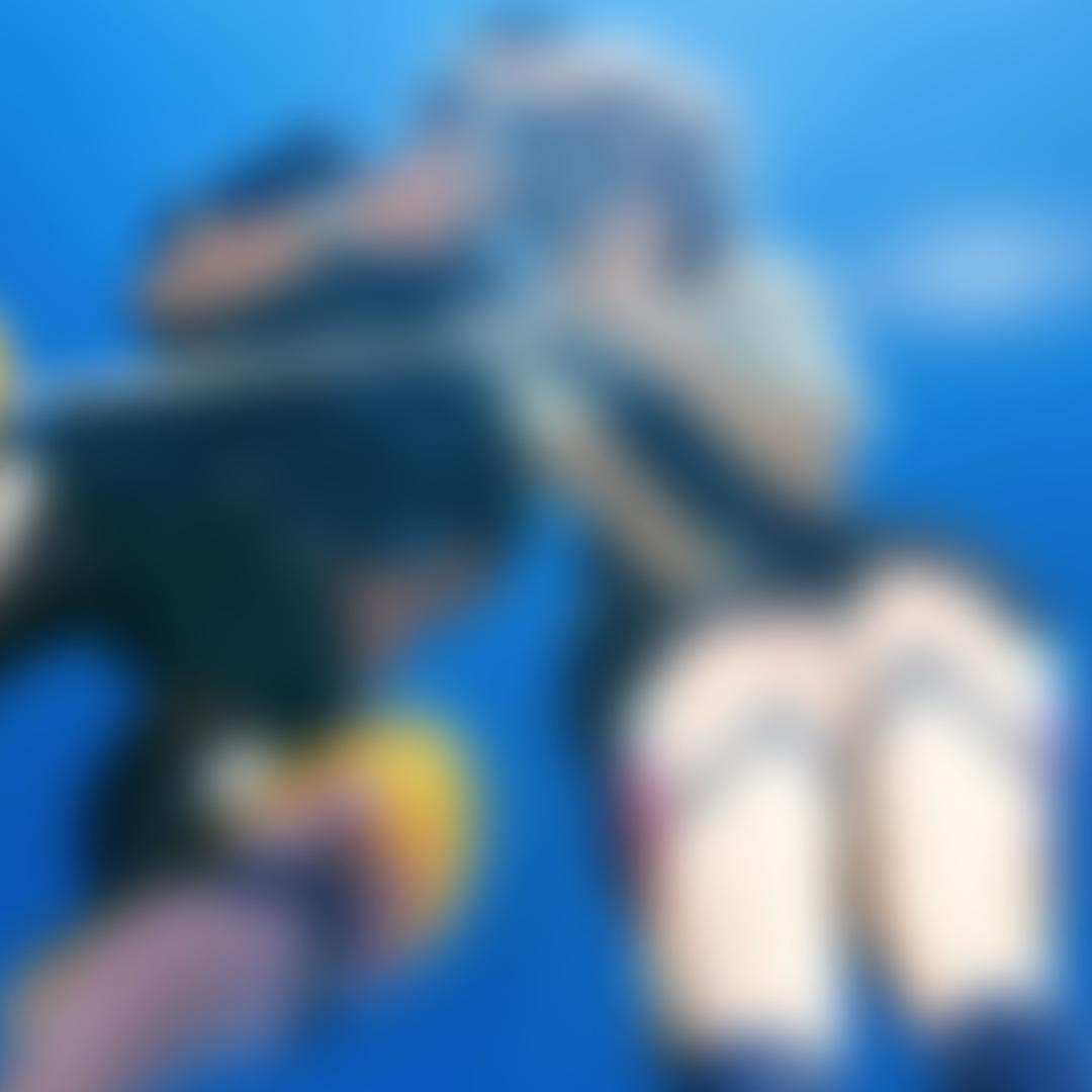 陈皮仔