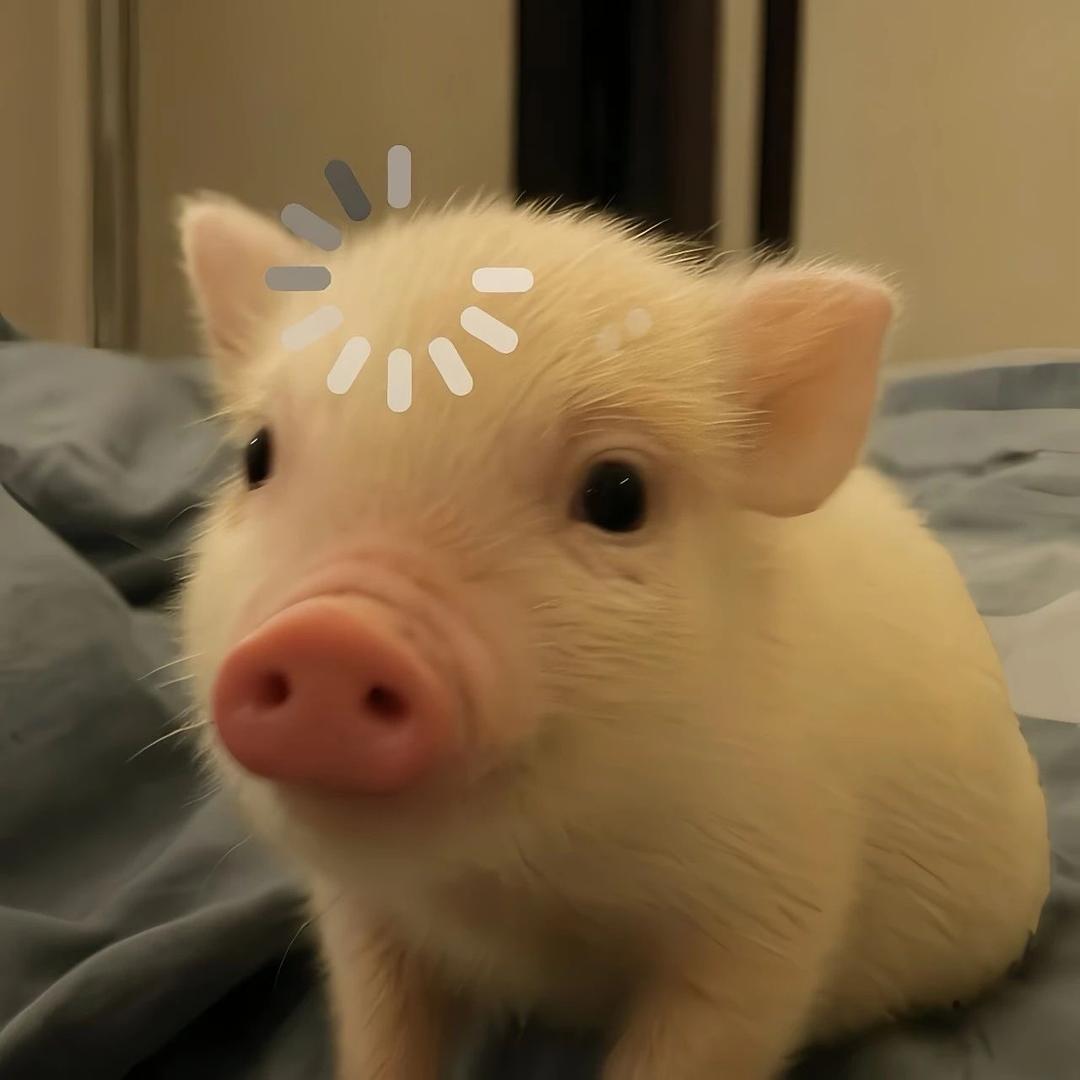 滴滴滴滴