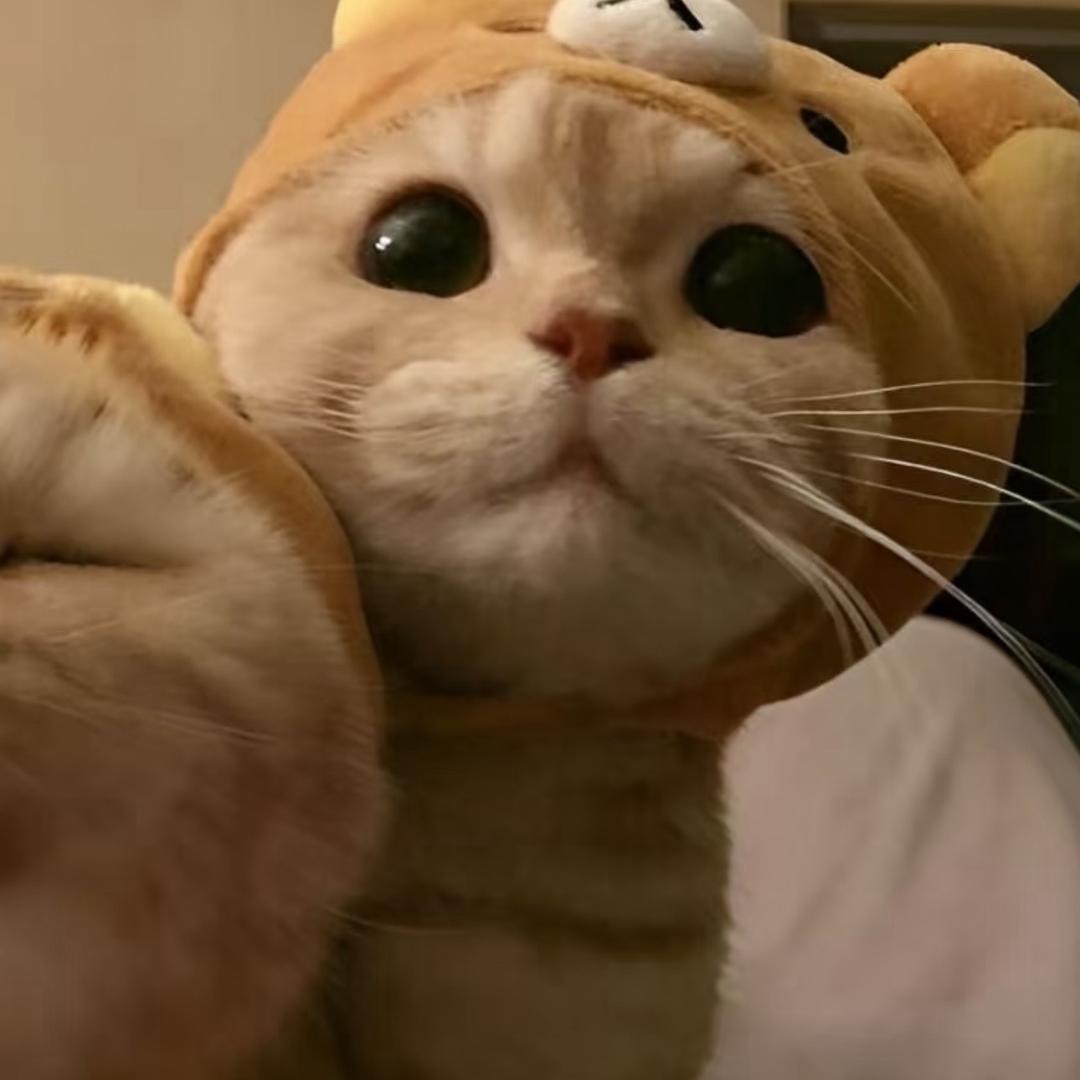 顾咕咕