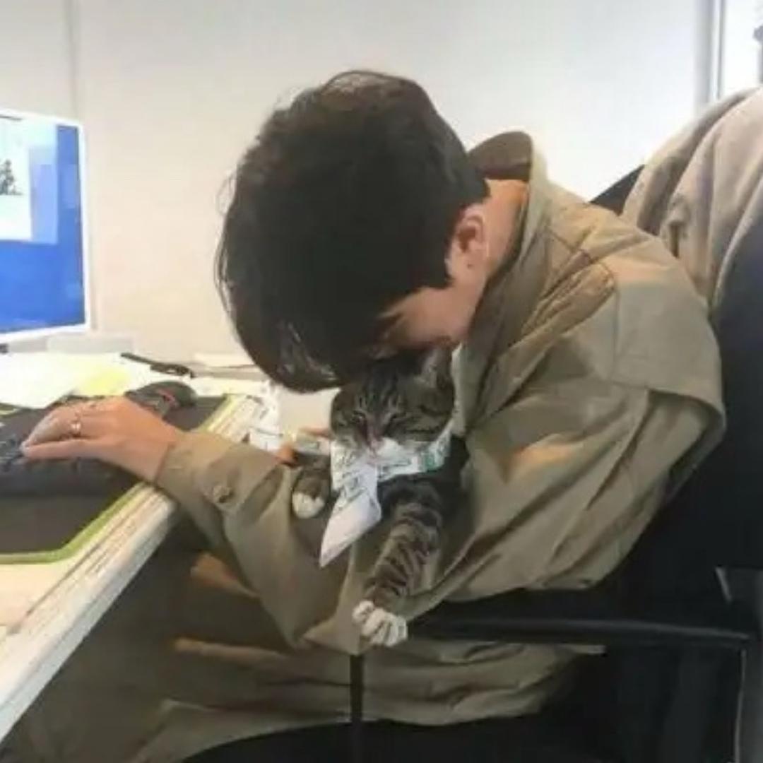 冰迪