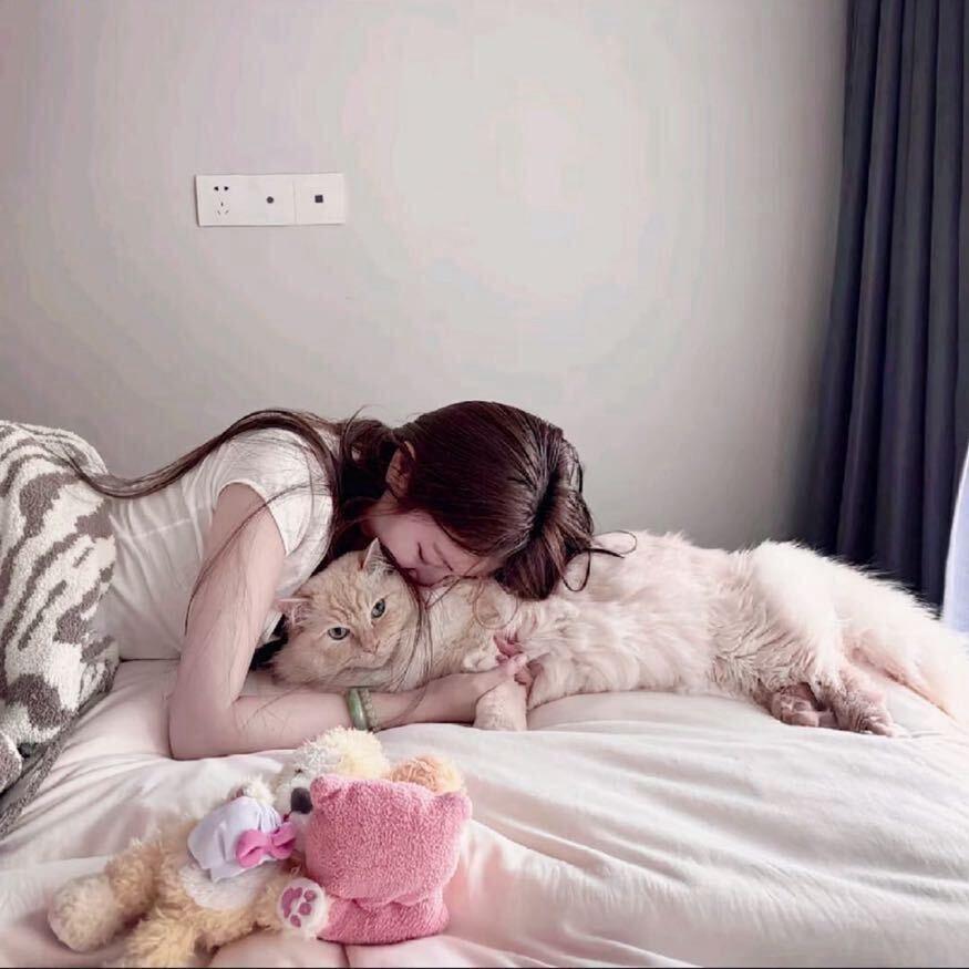 我的id是江南美人