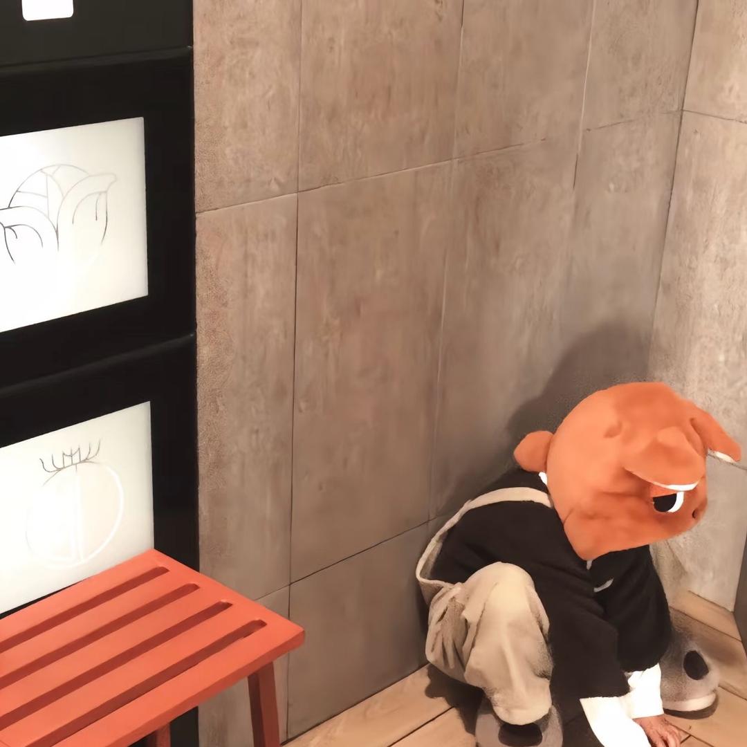 从明天开始喜欢你