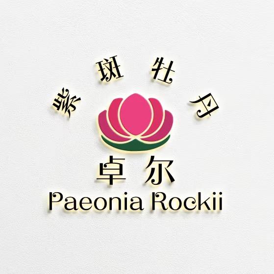 卓尔·紫斑牡丹