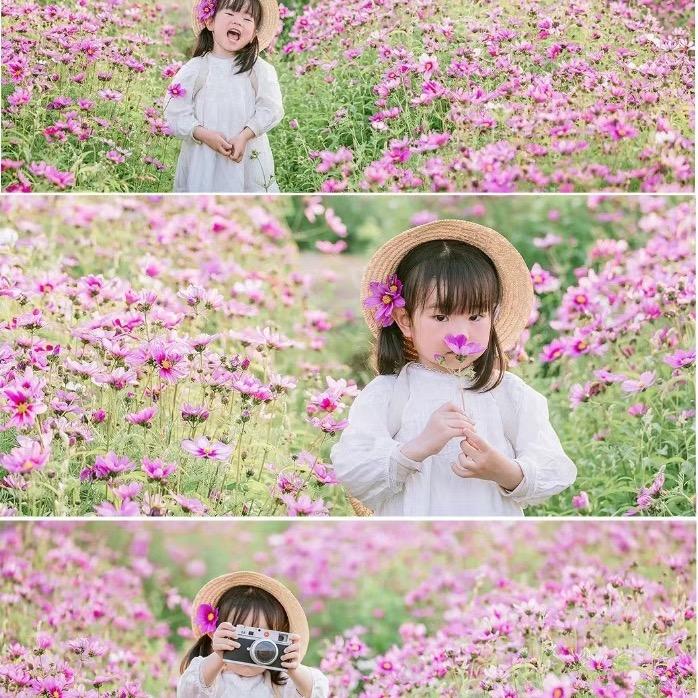 蔷薇花⁵⁰¹³🍀