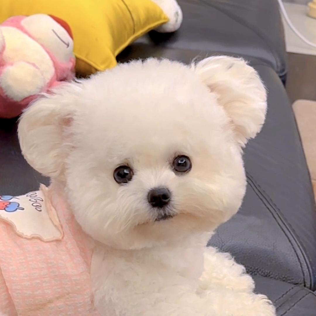 小熊尤妮Uny