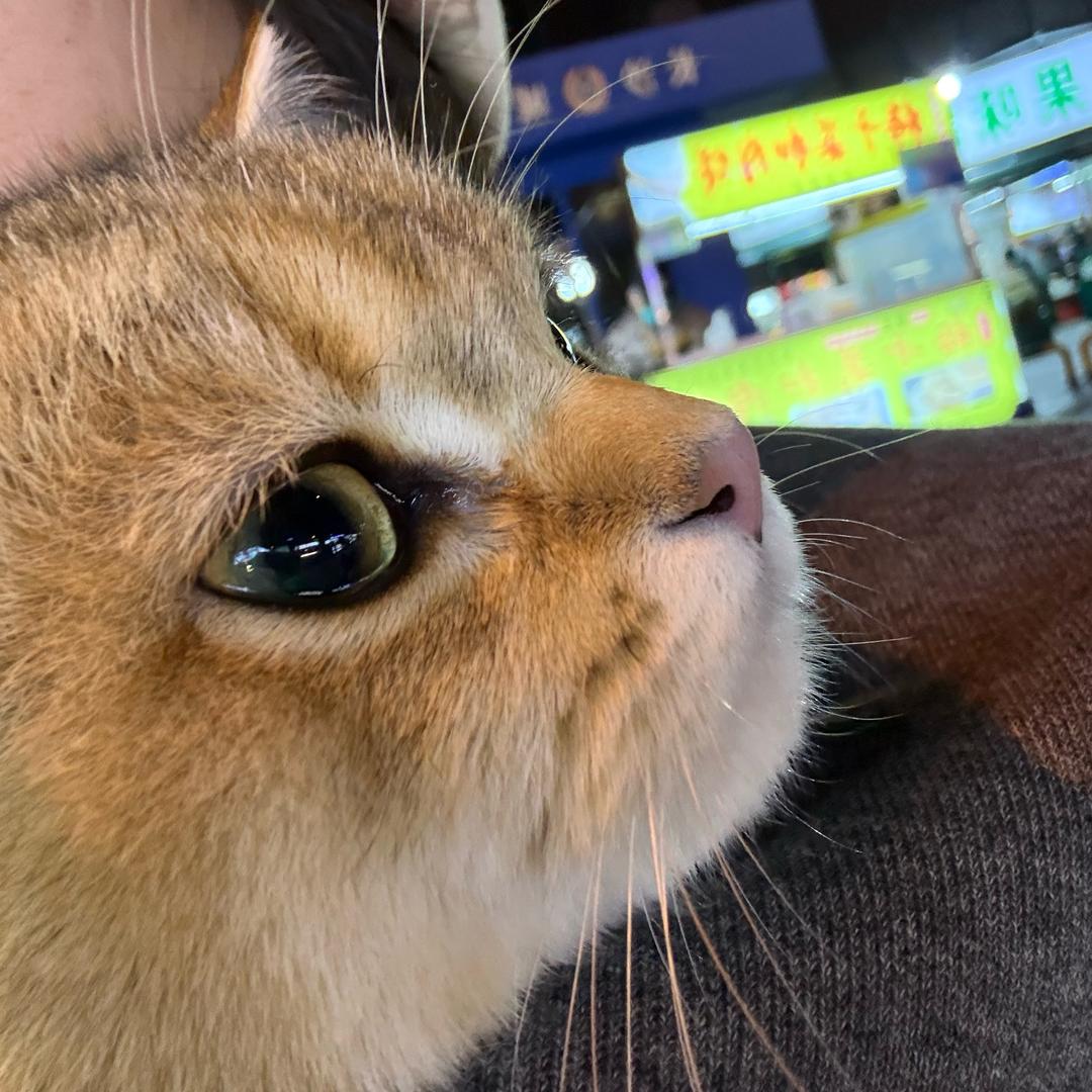 慕糖ˢʸ
