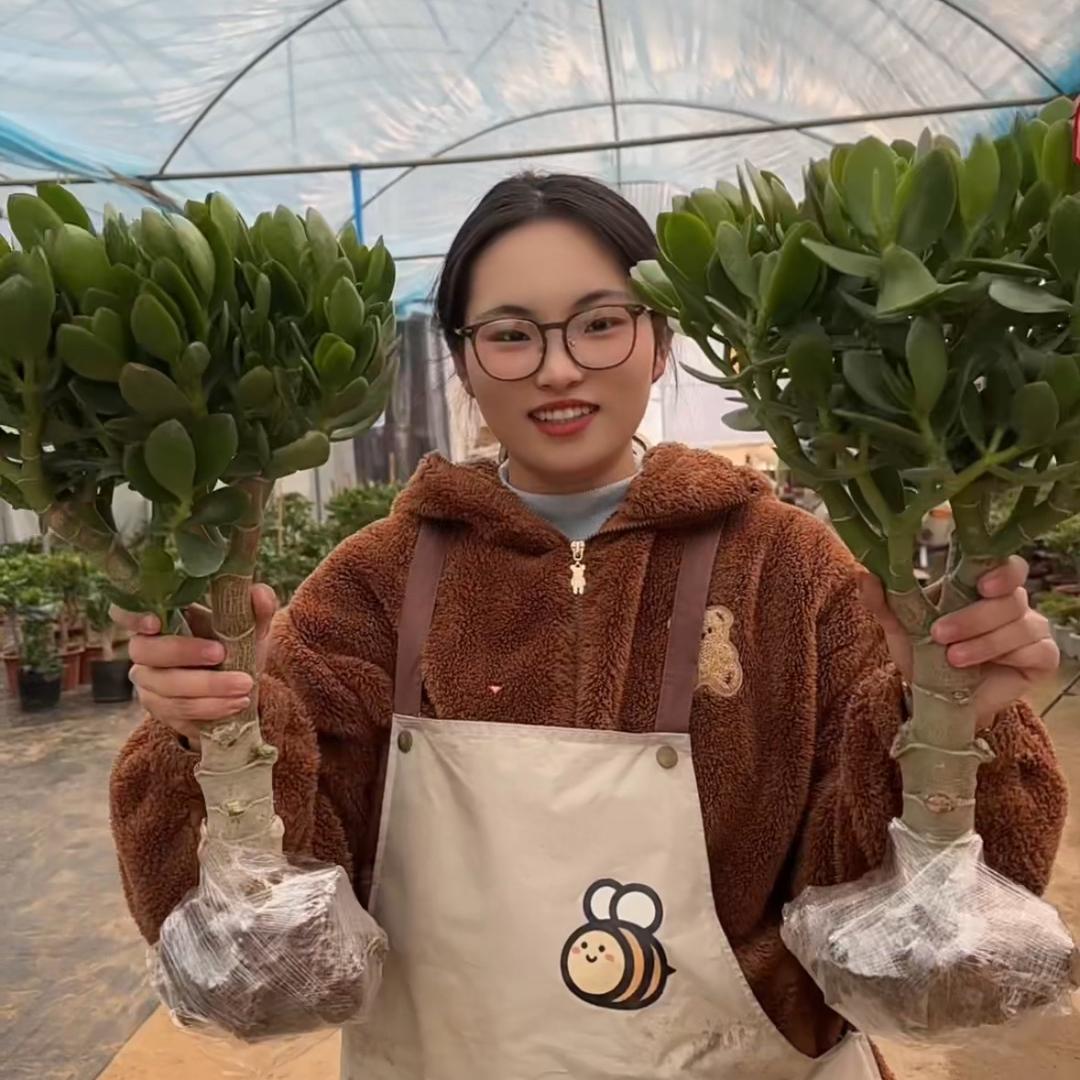 林姐花卉园艺