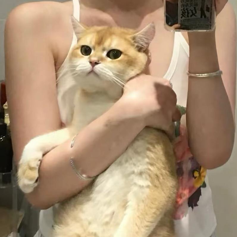 吱屋猪  ꒰ᐢ. .ᐢ꒱₊˚⊹🐽