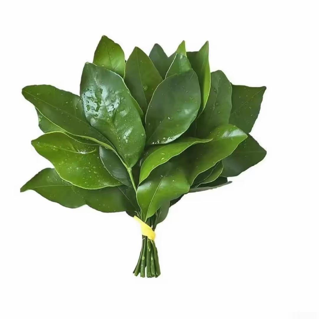 悠悠我心^_^