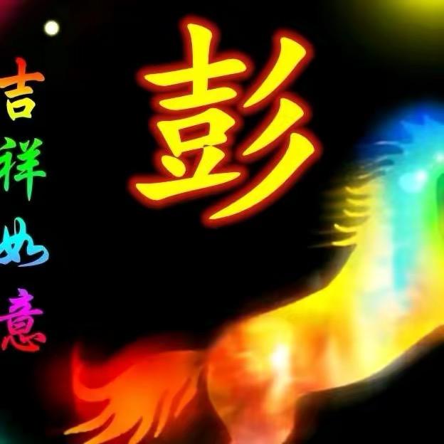奋斗到底（彭树刚）
