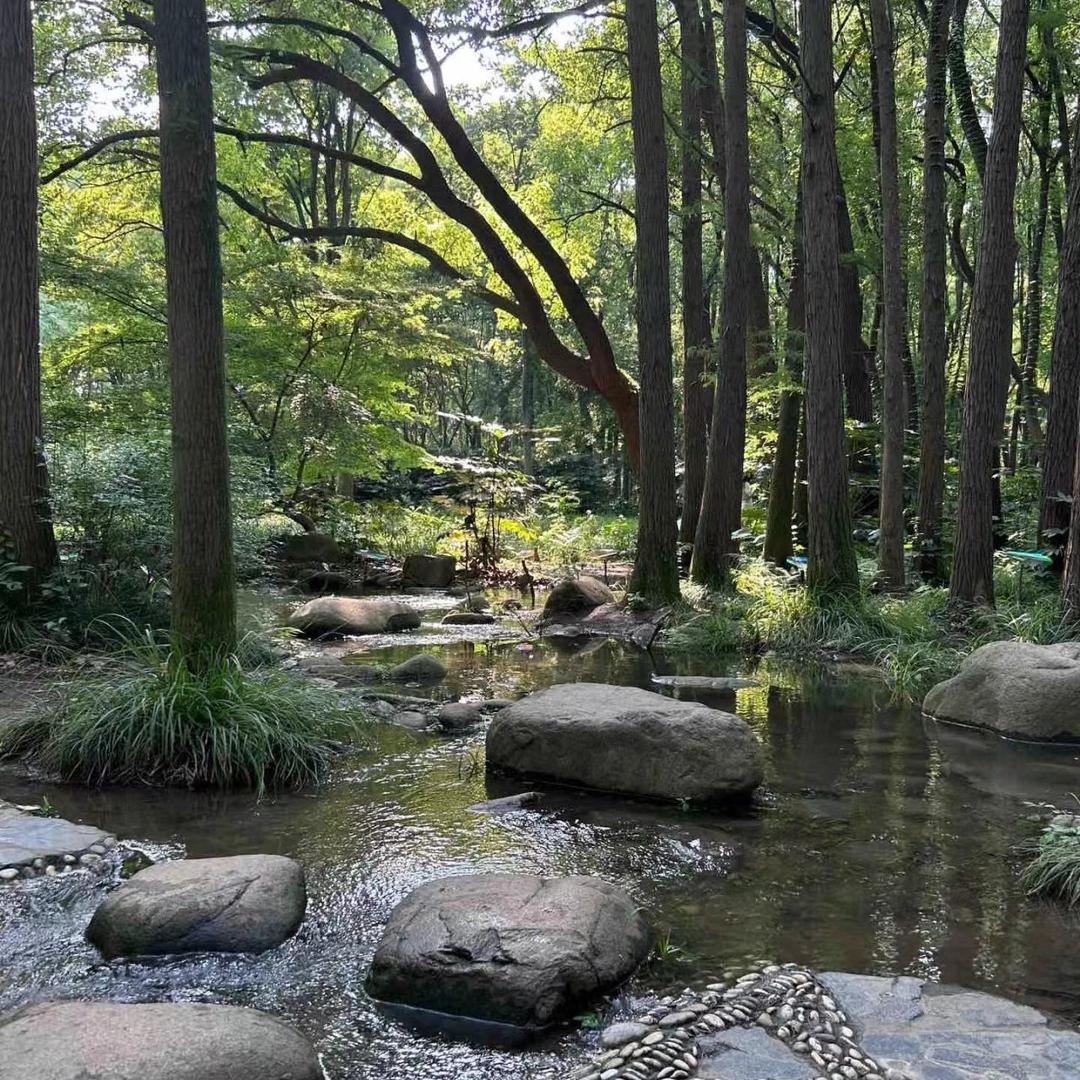小溪潺潺