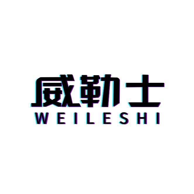 威勒士汽车广告屏