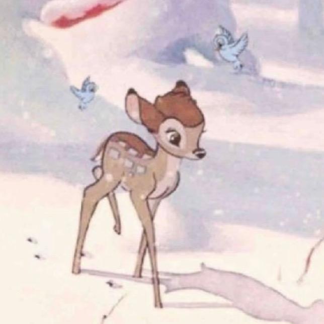 ʚɞ