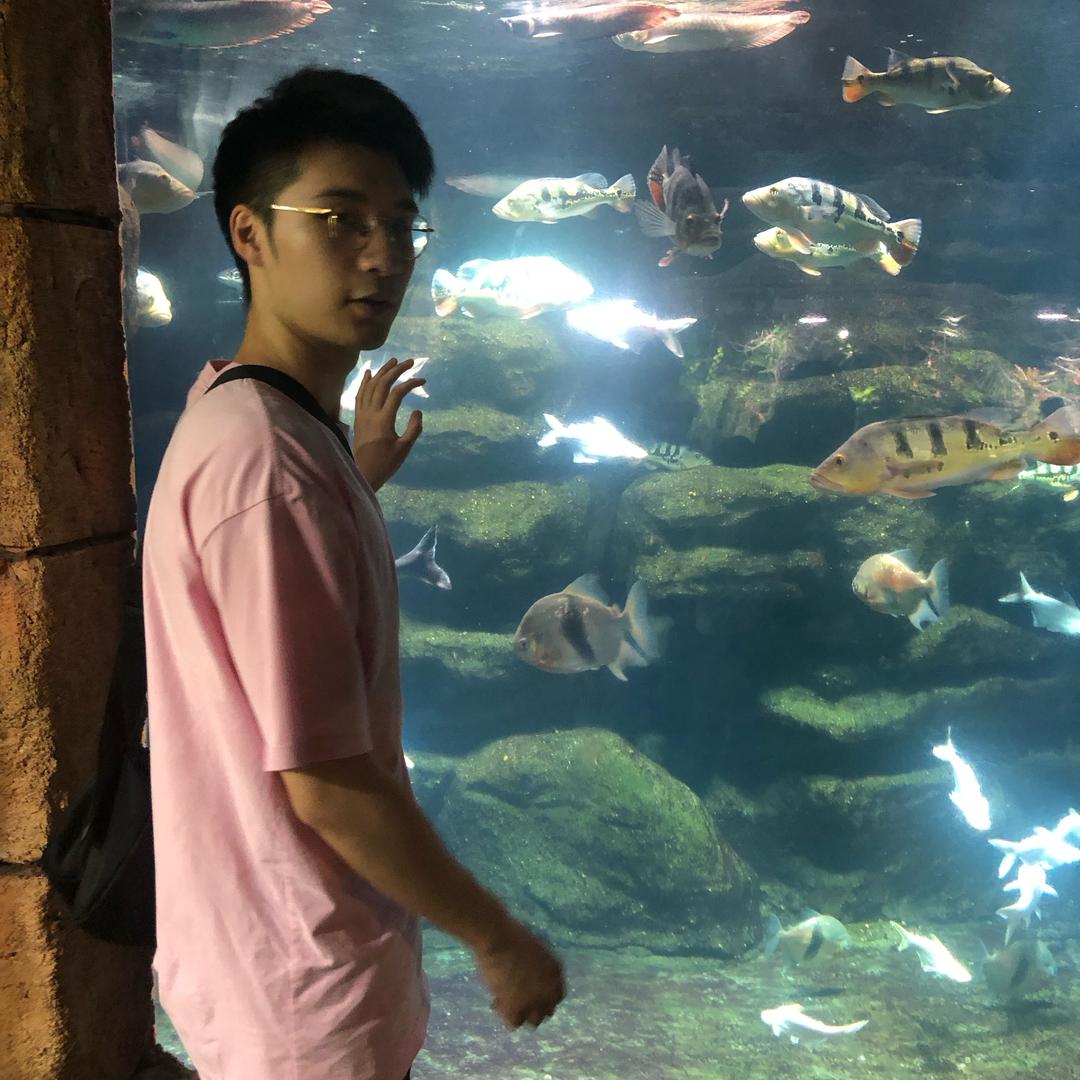 吼吼吼00