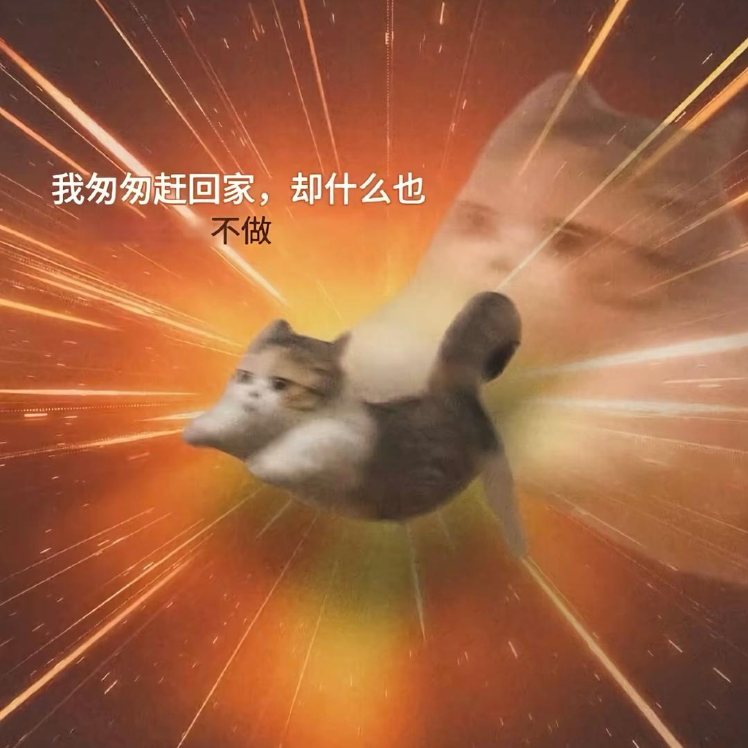 一言不合酷酷鲨