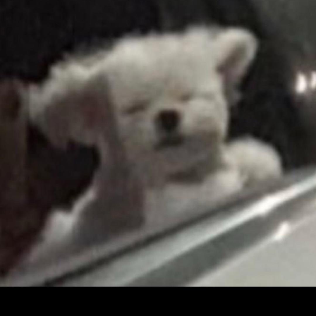 胶泥D（🧊Kim Minjeong）