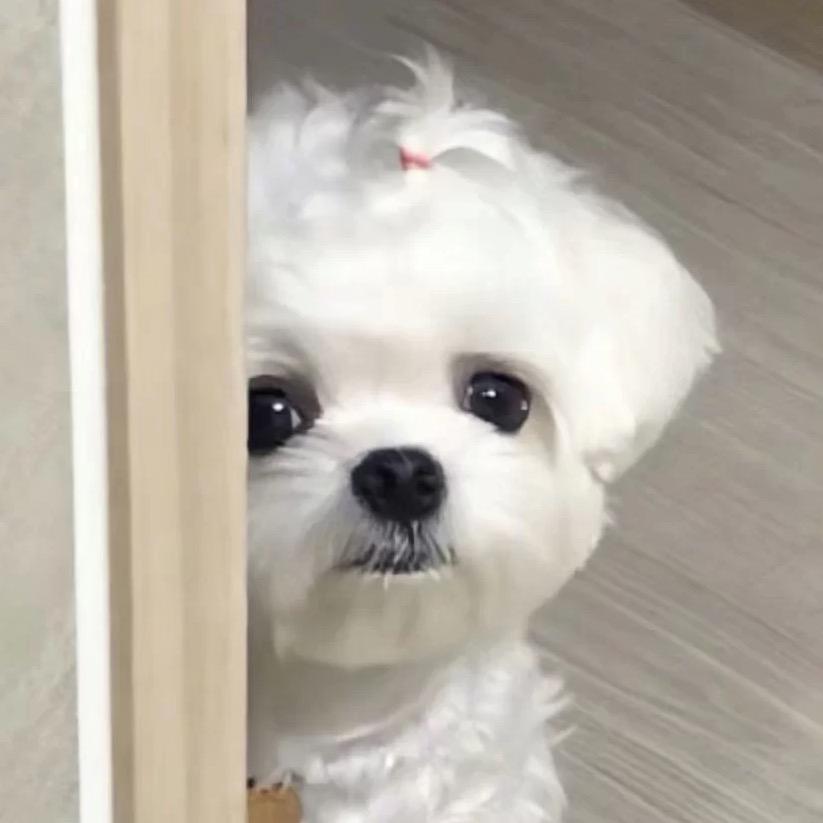 小王好困a