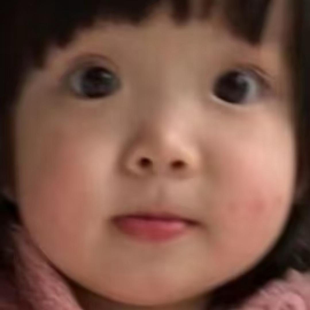 狗狗呆