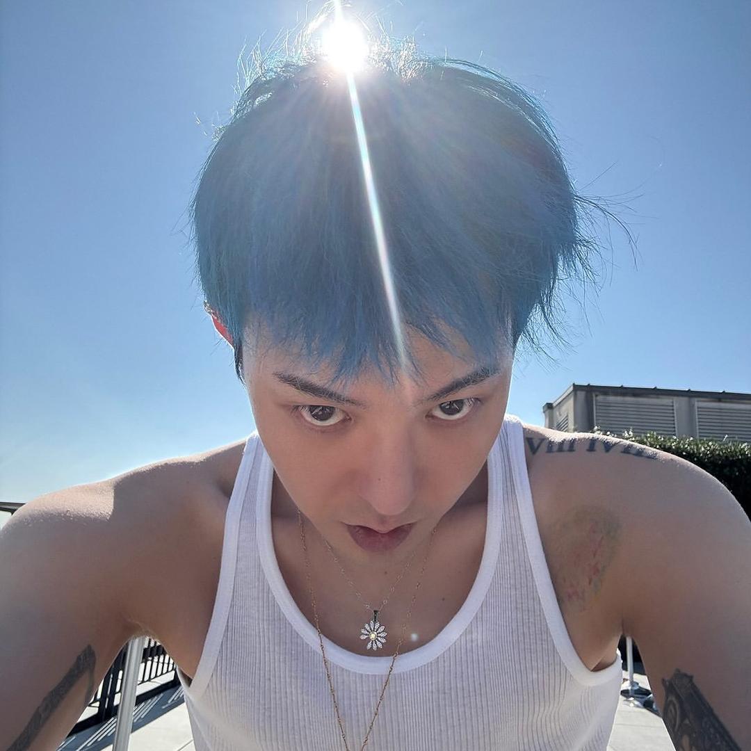 罗宾的花菜（见过权志龙版🥰