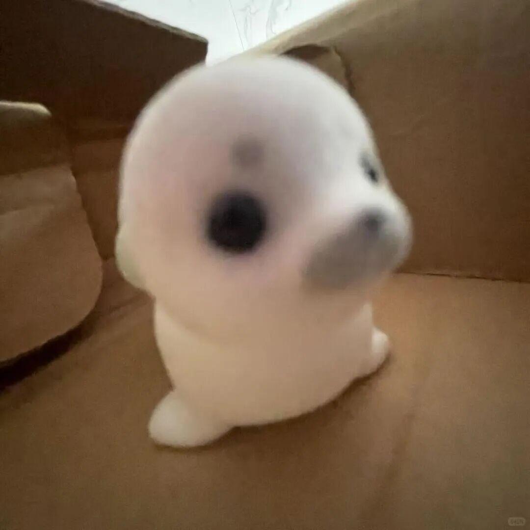 小赢