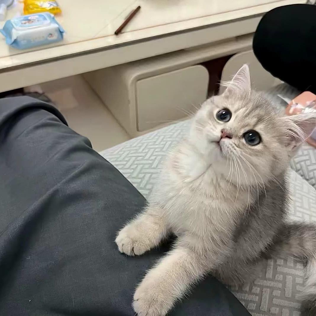 ꧁༺伦敦不下雪老子喜欢你༻꧂