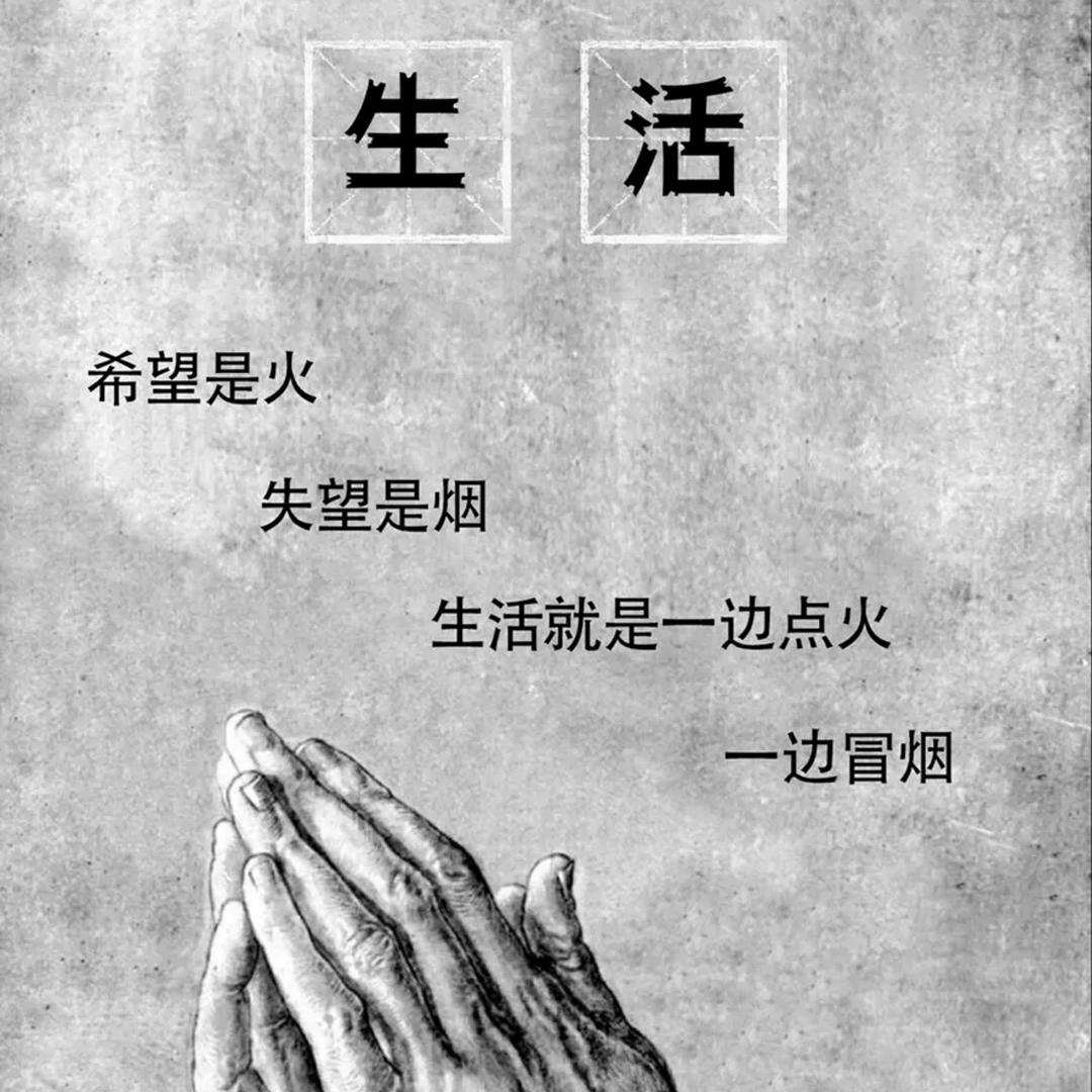 释怀楠弟