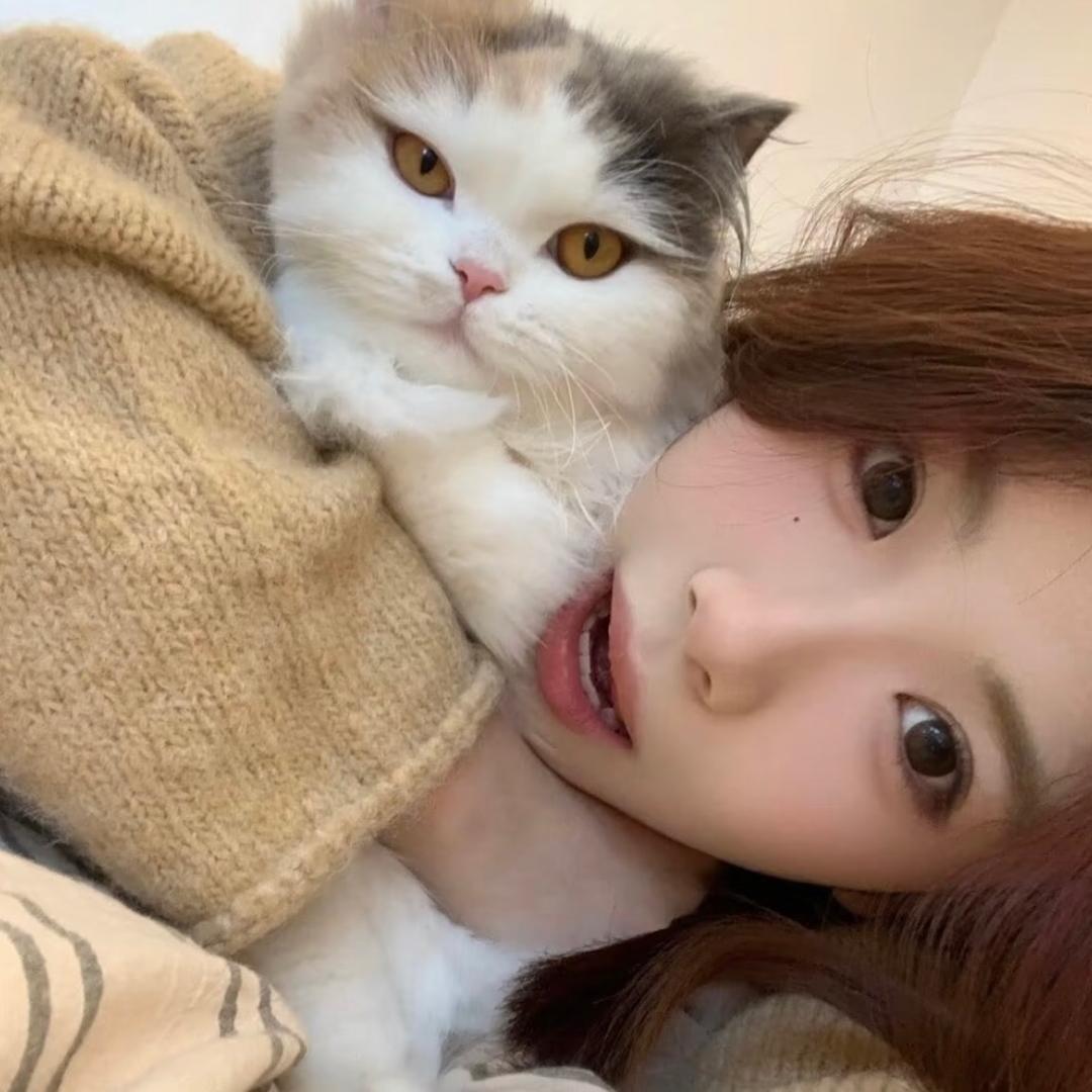 小熊吃了o泡