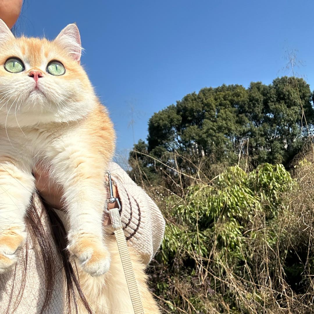 多多不多余