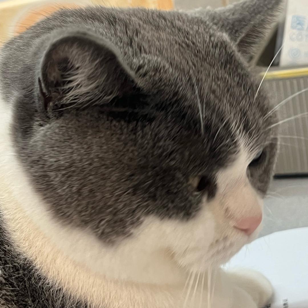 福州大魔方俱乐部