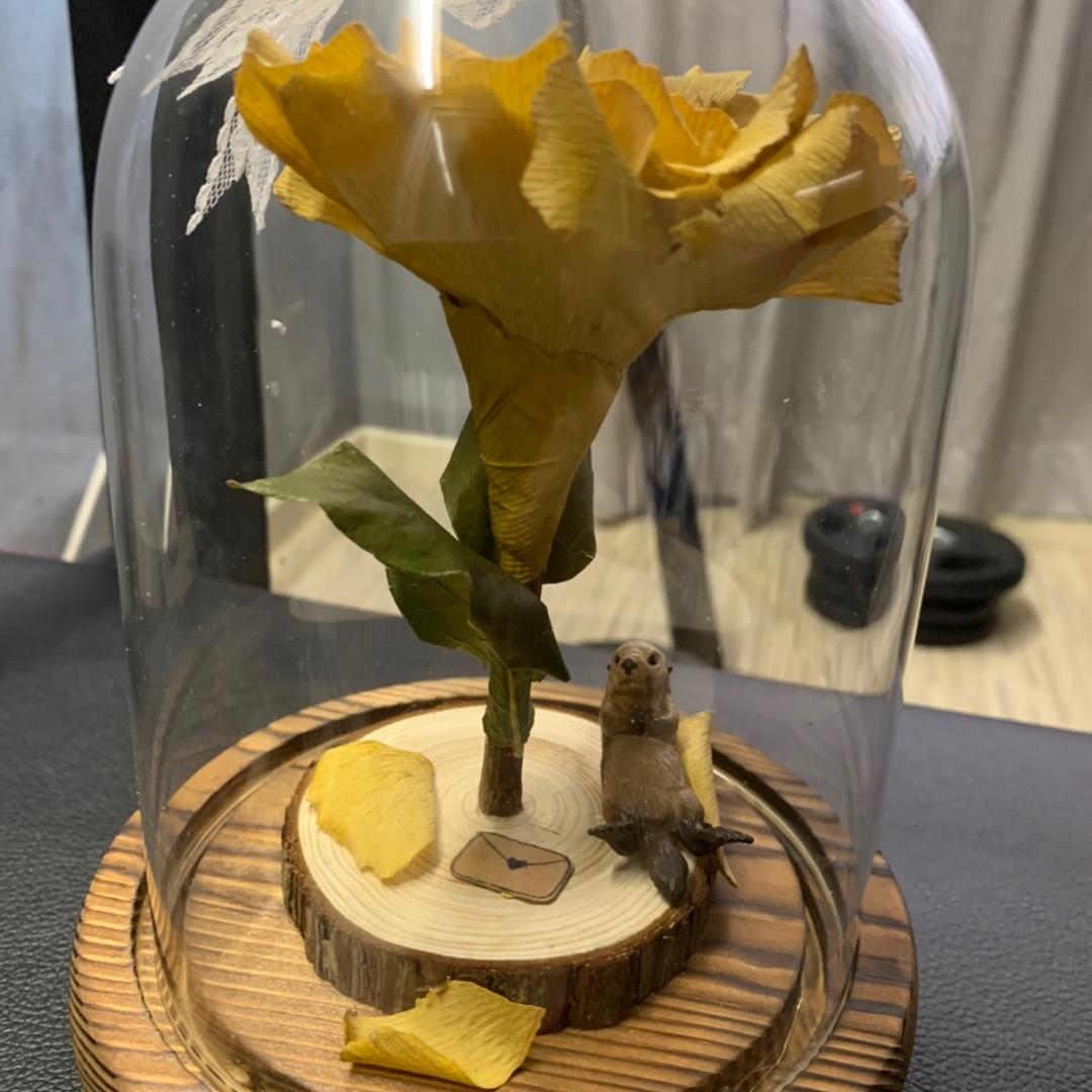 一朵小黄花🤟🏻