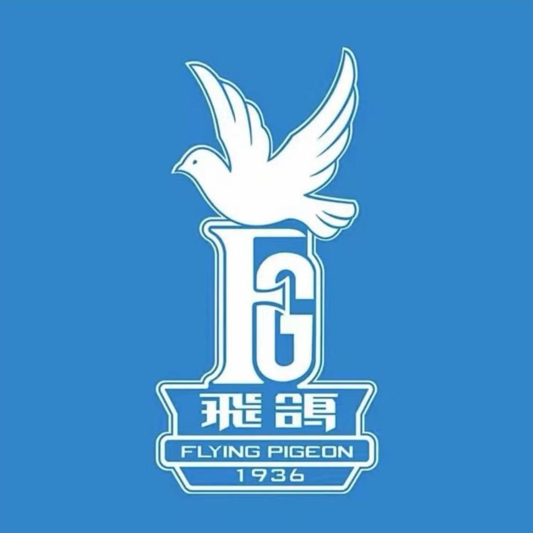 飞鸽FLYING PIGON自行车骑行店
