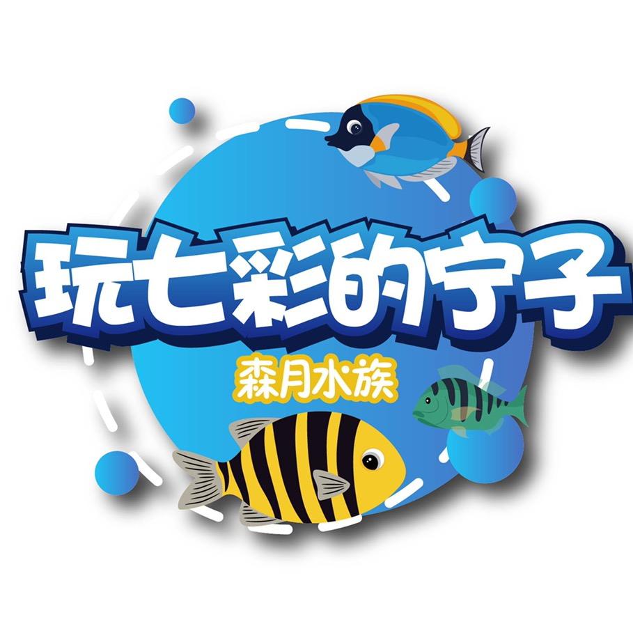 宁子玩七彩