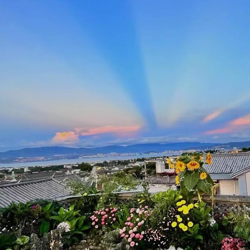 小猪来了（武汉房产）