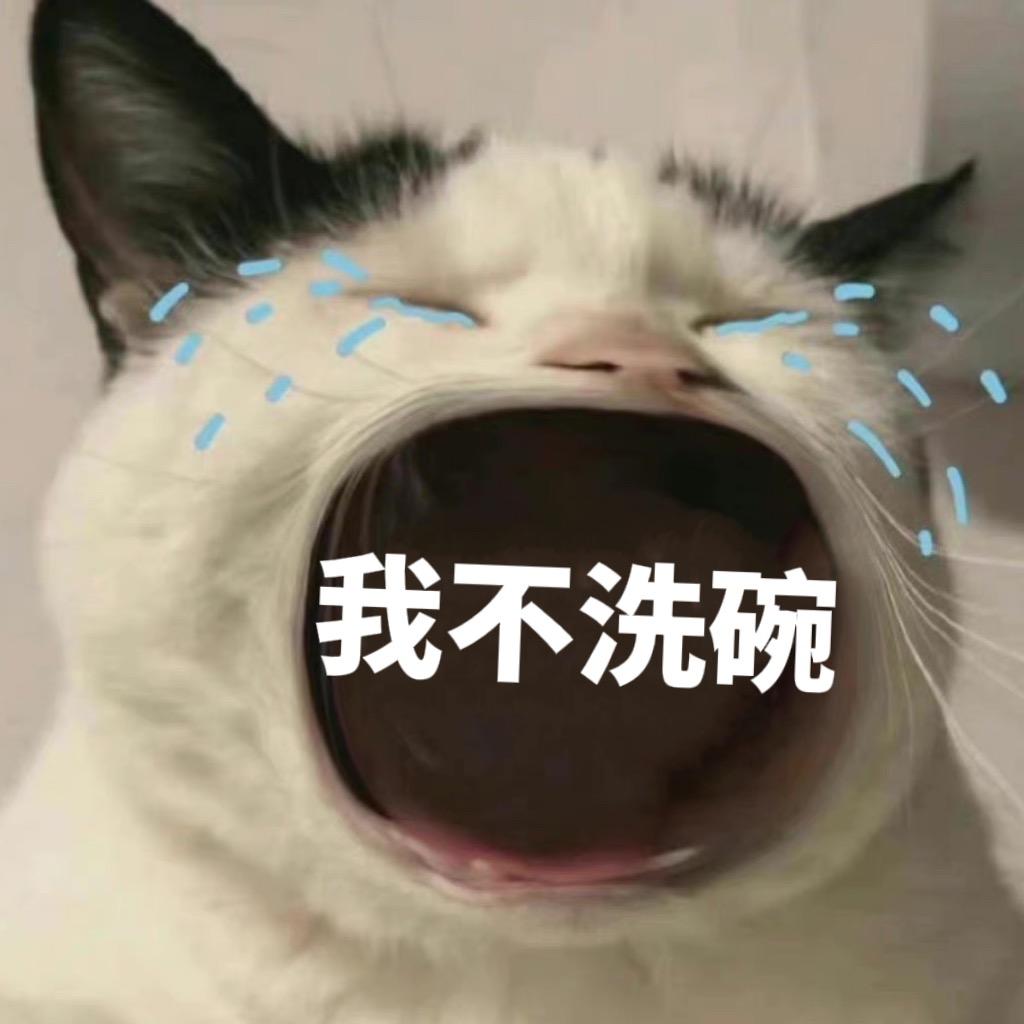 今天不想洗碗