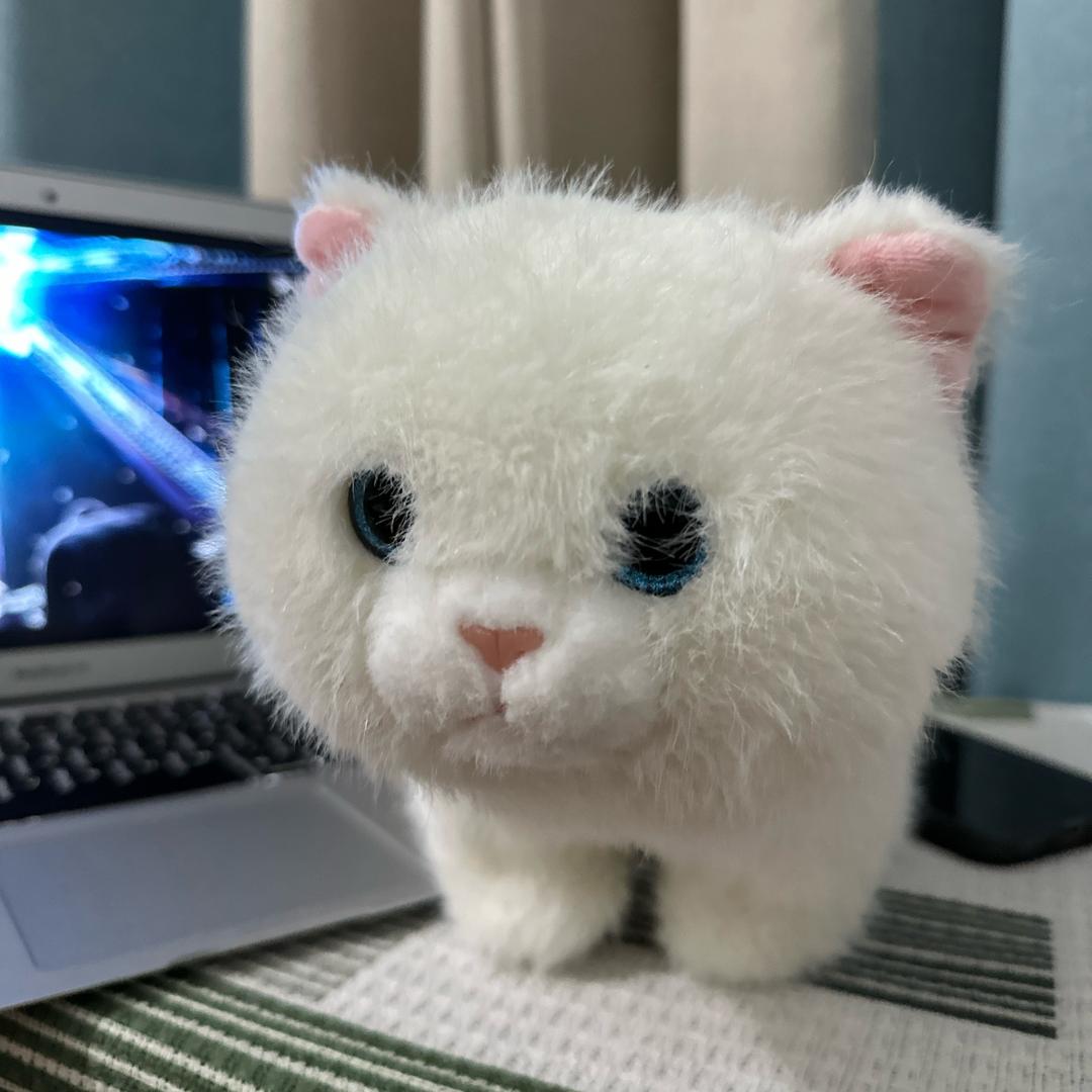 ｛不做小懒猫｝