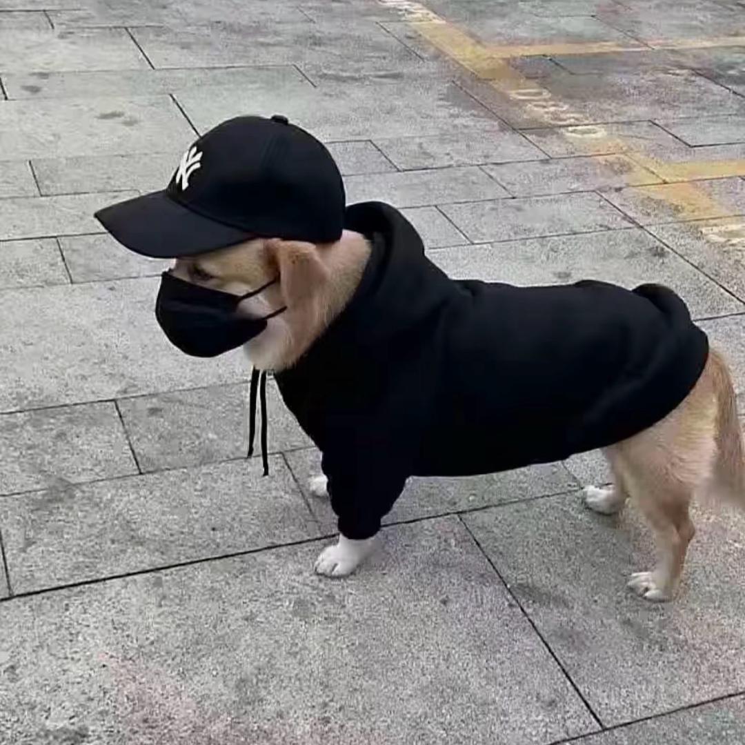 Hello