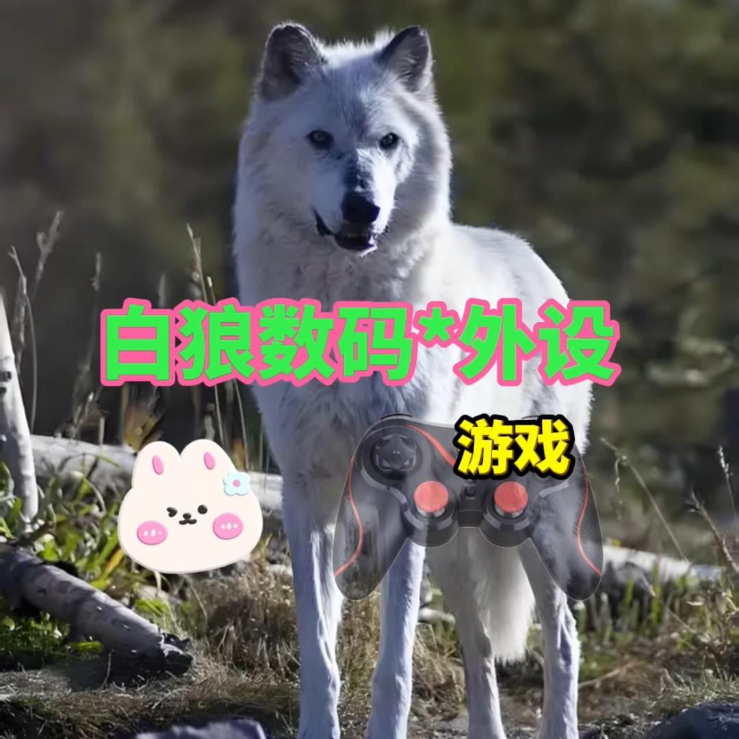 白狼数码外设