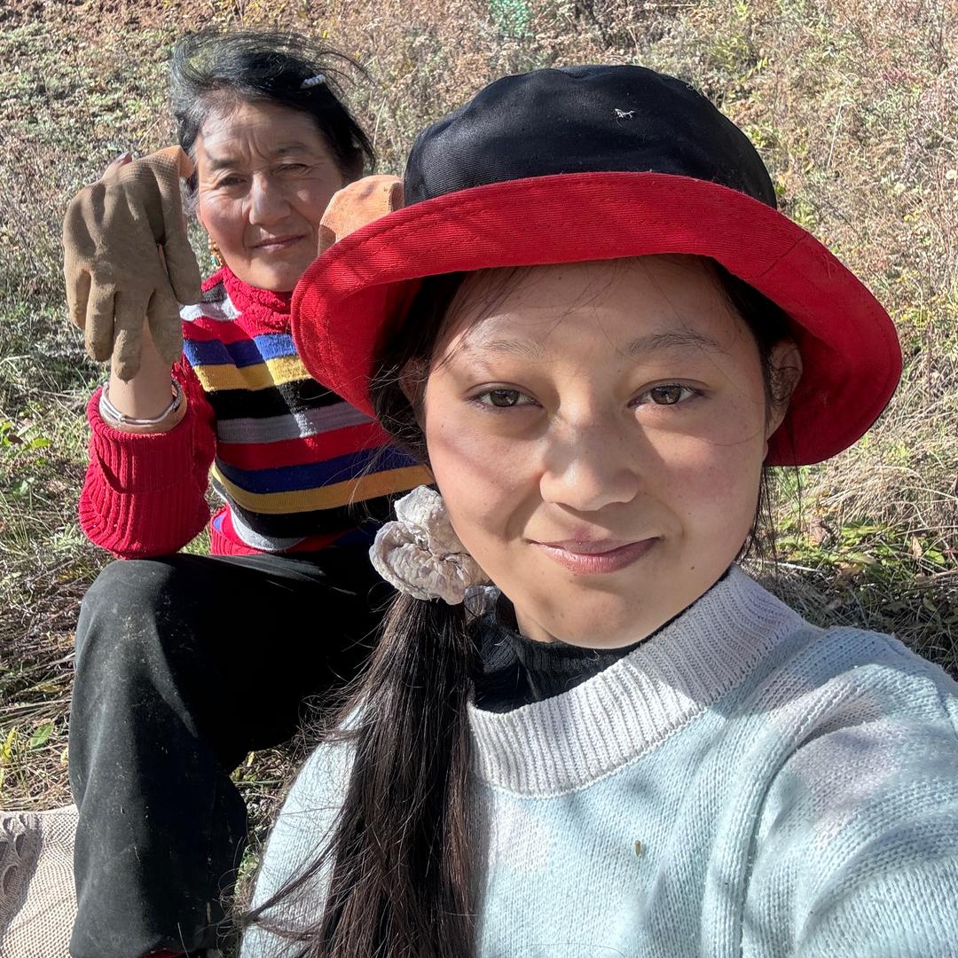 燕子不上进（花牛苹果售）