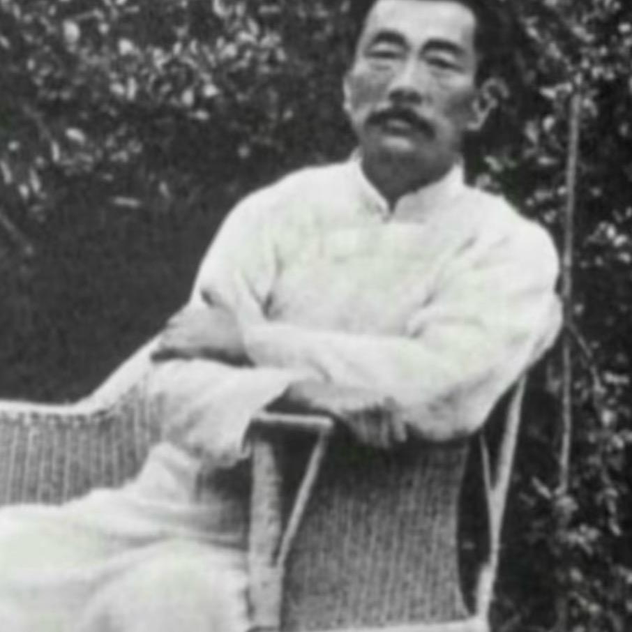 热烈的马