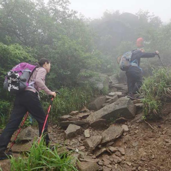 李尚梅莲子百合枸杞专供