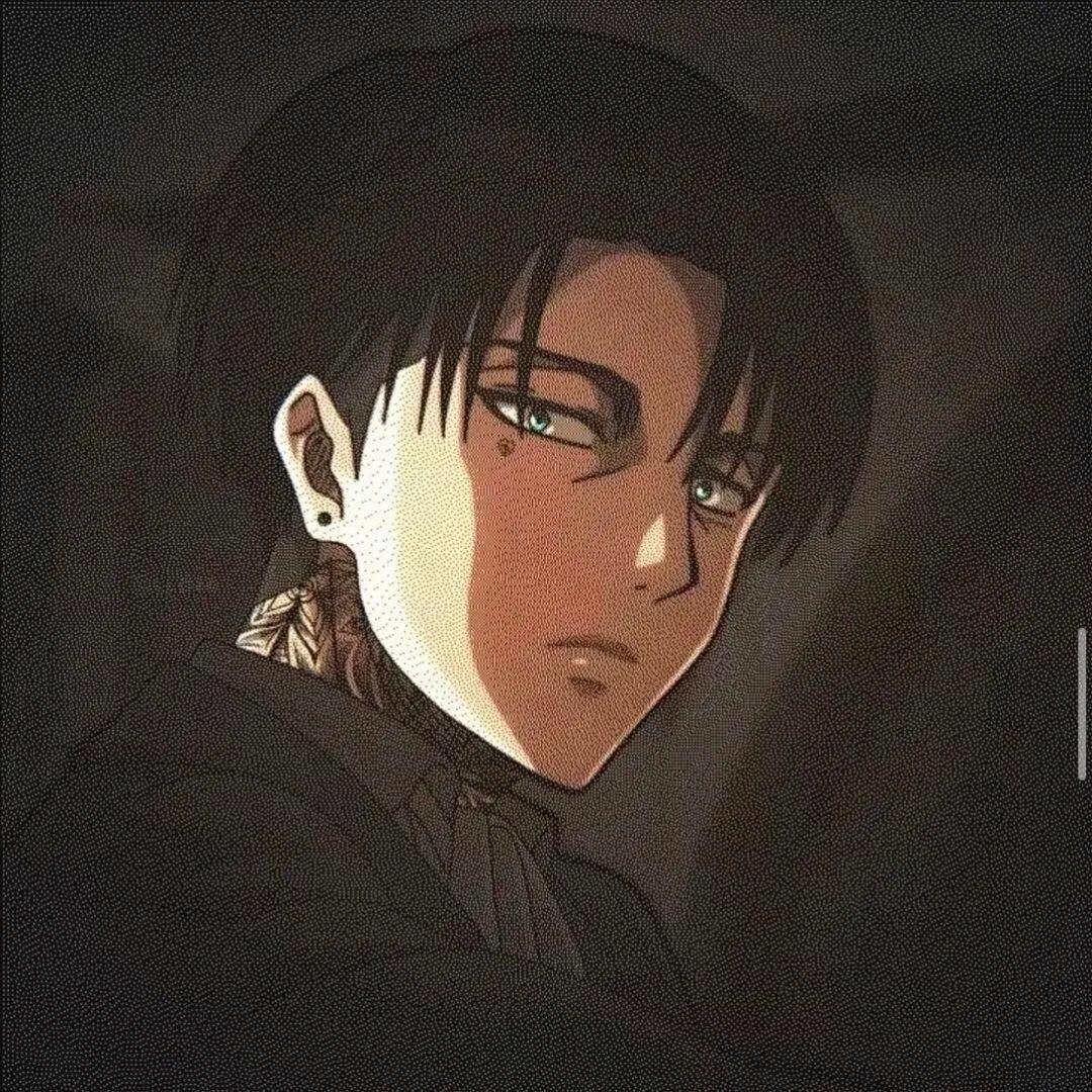 知秋