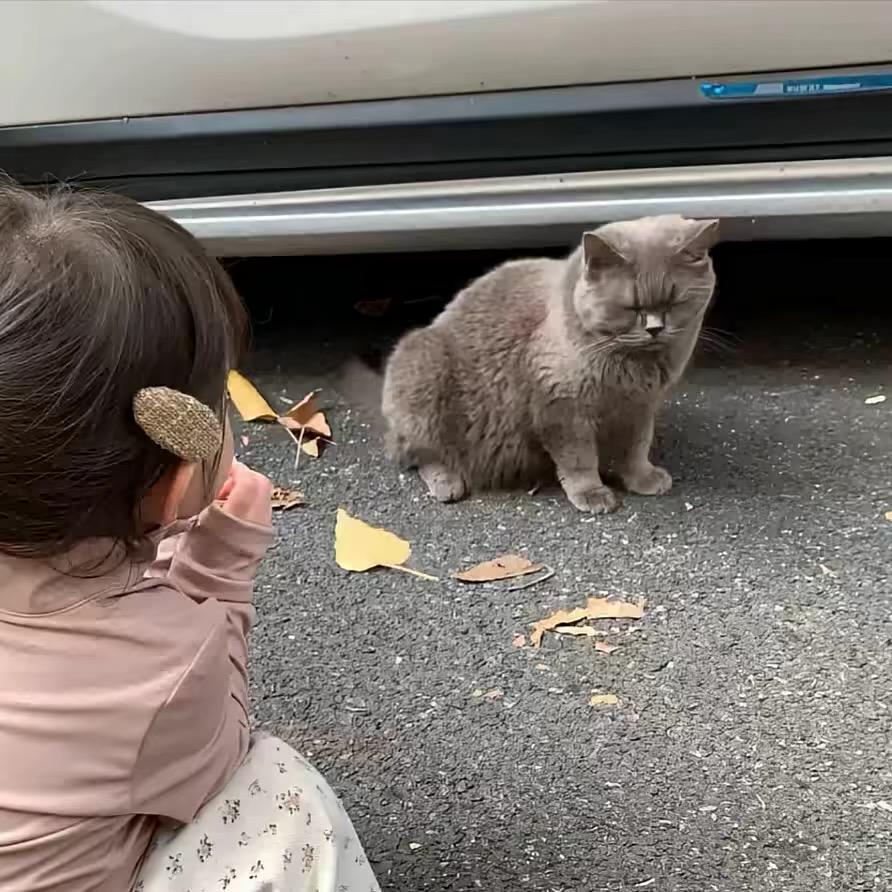 吧啦吧啦