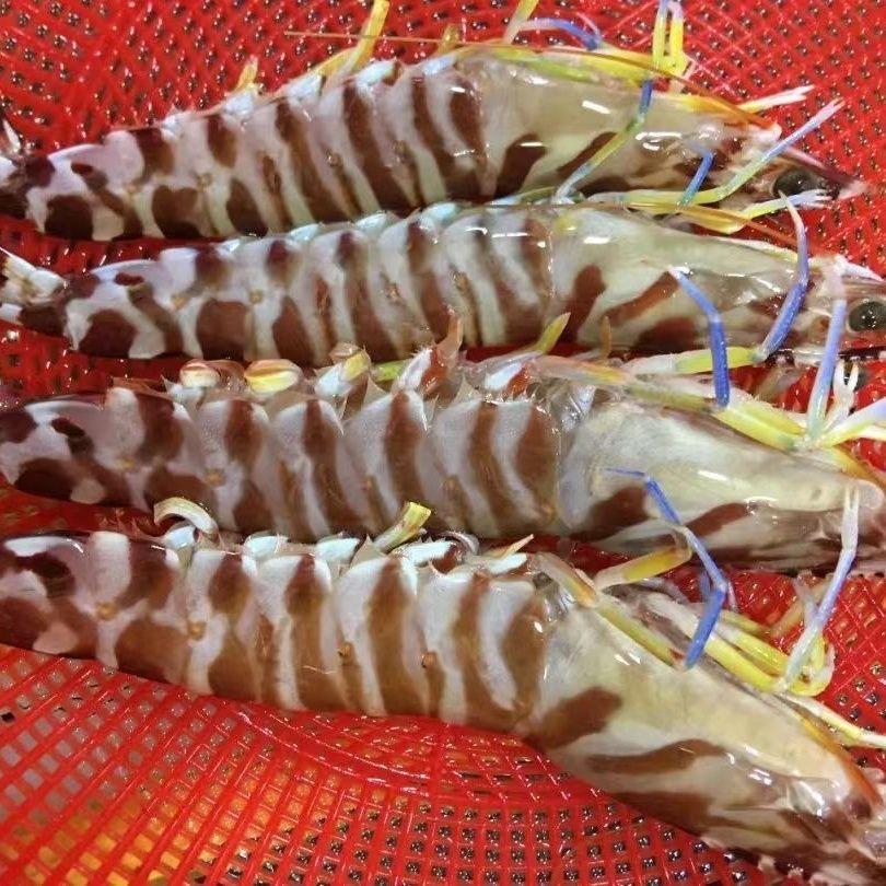 金生