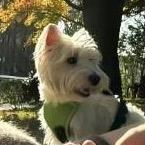 我女朋友最漂亮