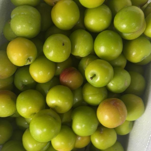 金浦庄园零售店